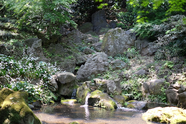 Un pequeño riachuelo y cascada en los jardines Rikugi-en