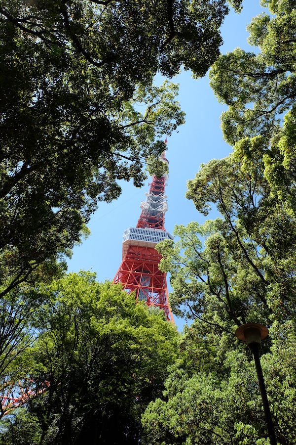 La Tokyo Tower vista entre los árboles