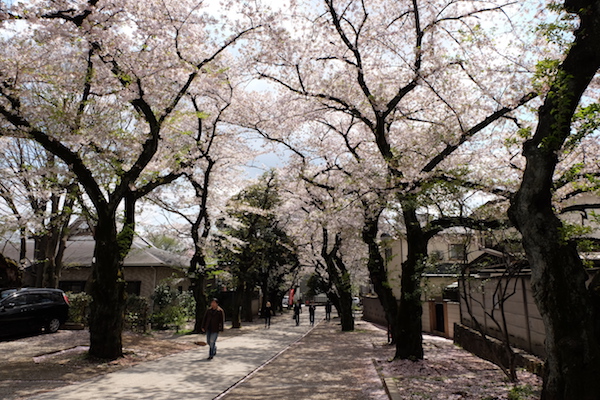 Camino que lleva a un templo budista en Ikebukuro